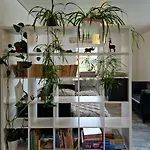 Cozy And Charming Nellys Nest In Kassel