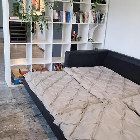 شقة Cozy Modern Newly Renovated In