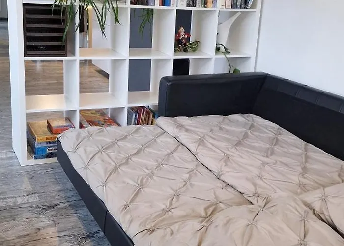 Apartament Cozy Modern Newly Renovated In
